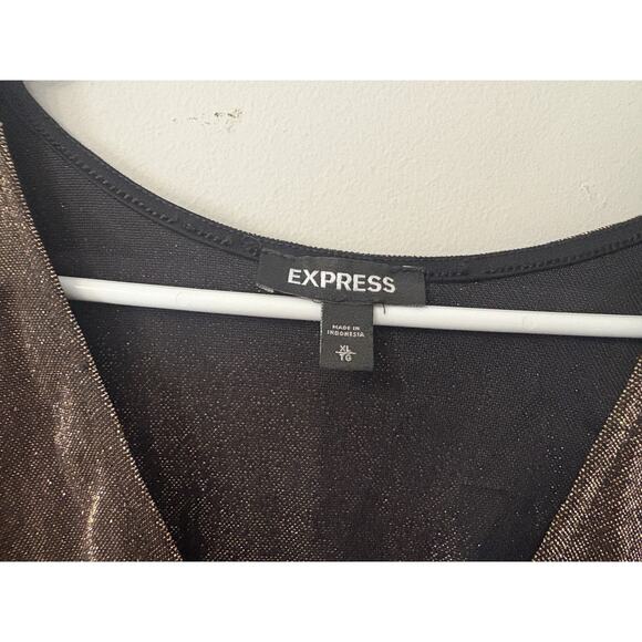 Express Metallic Brown Deep V-Neck Long Sleeve Bodysuit – Size XL, Party Top - Picture 5 of 5